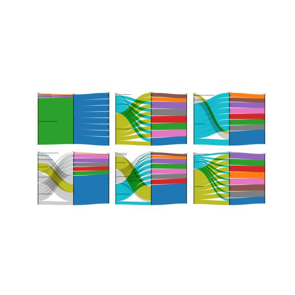 A Composite Image of Versions of an App with its languages